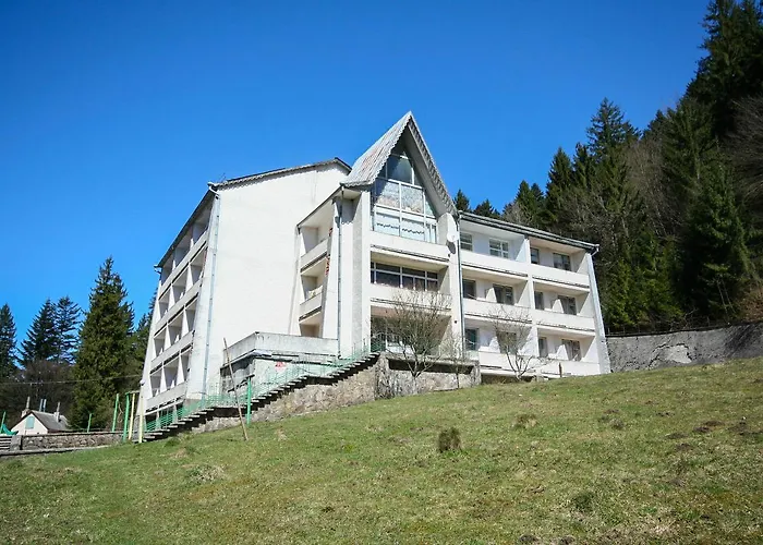Hotel Sanatorium Verhovyna 4*